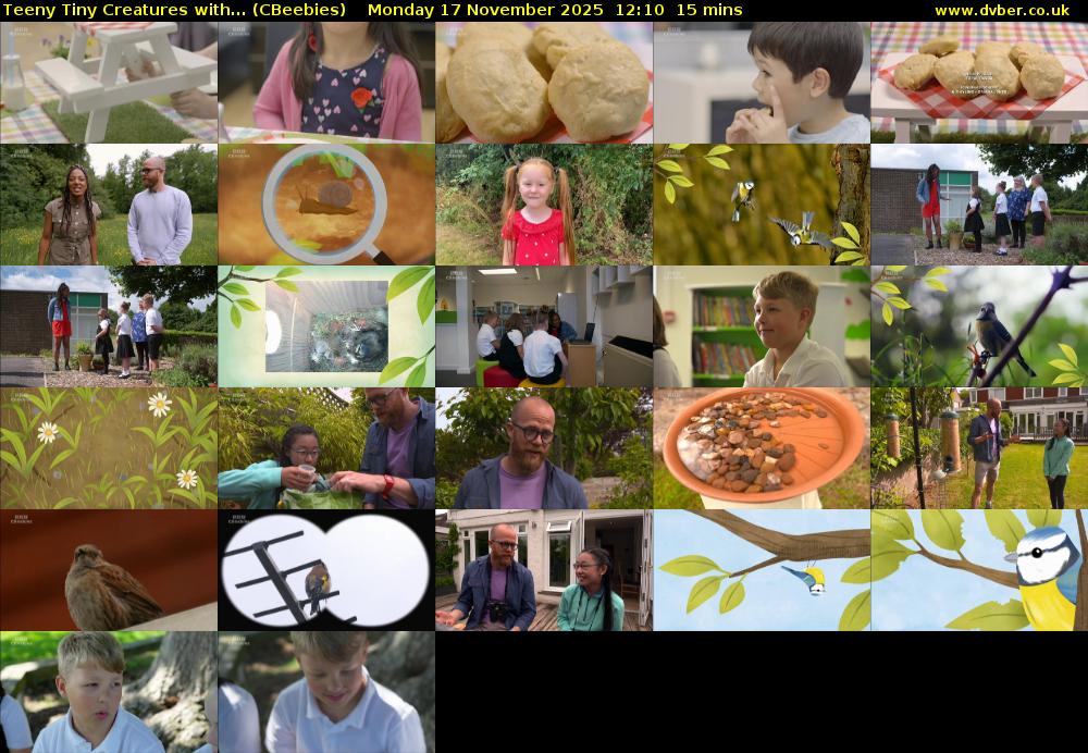 Teeny Tiny Creatures with... (CBeebies) Monday 17 November 2025 12:10 - 12:25