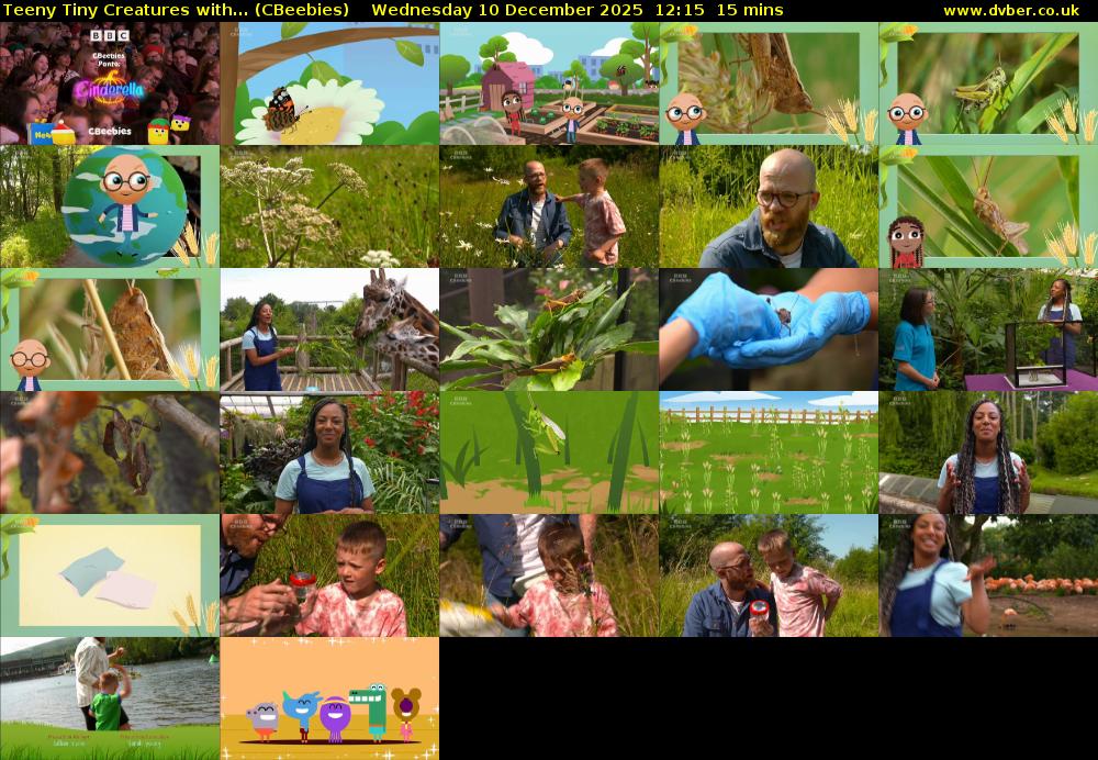 Teeny Tiny Creatures with... (CBeebies) Wednesday 10 December 2025 12:15 - 12:30