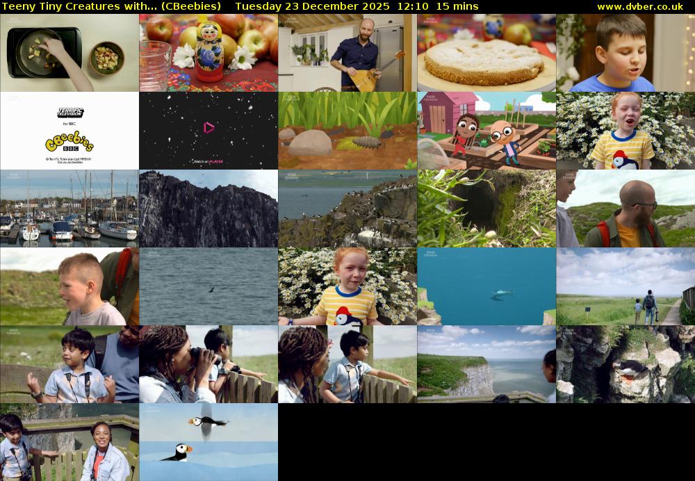 Teeny Tiny Creatures with... (CBeebies) Tuesday 23 December 2025 12:10 - 12:25