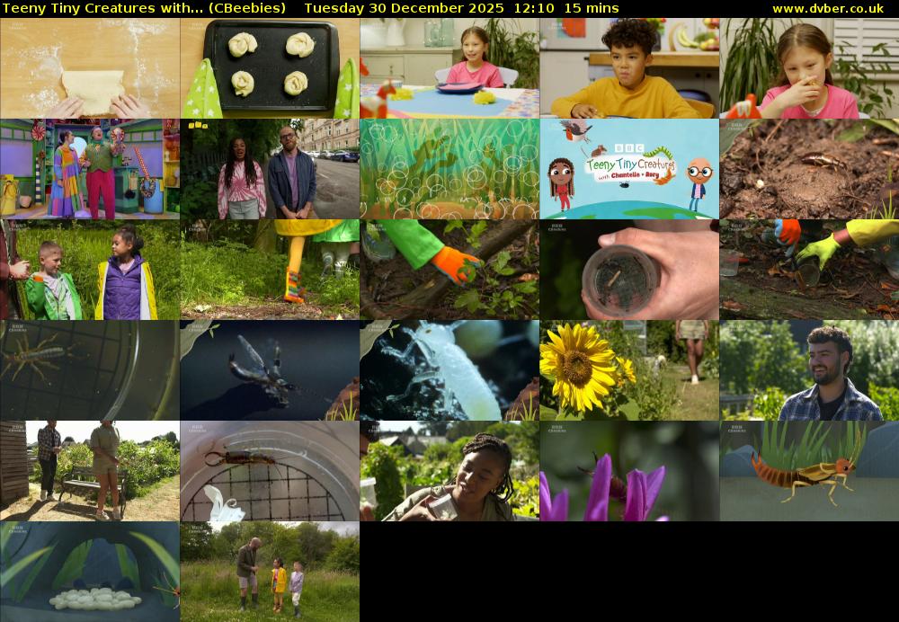 Teeny Tiny Creatures with... (CBeebies) Tuesday 30 December 2025 12:10 - 12:25