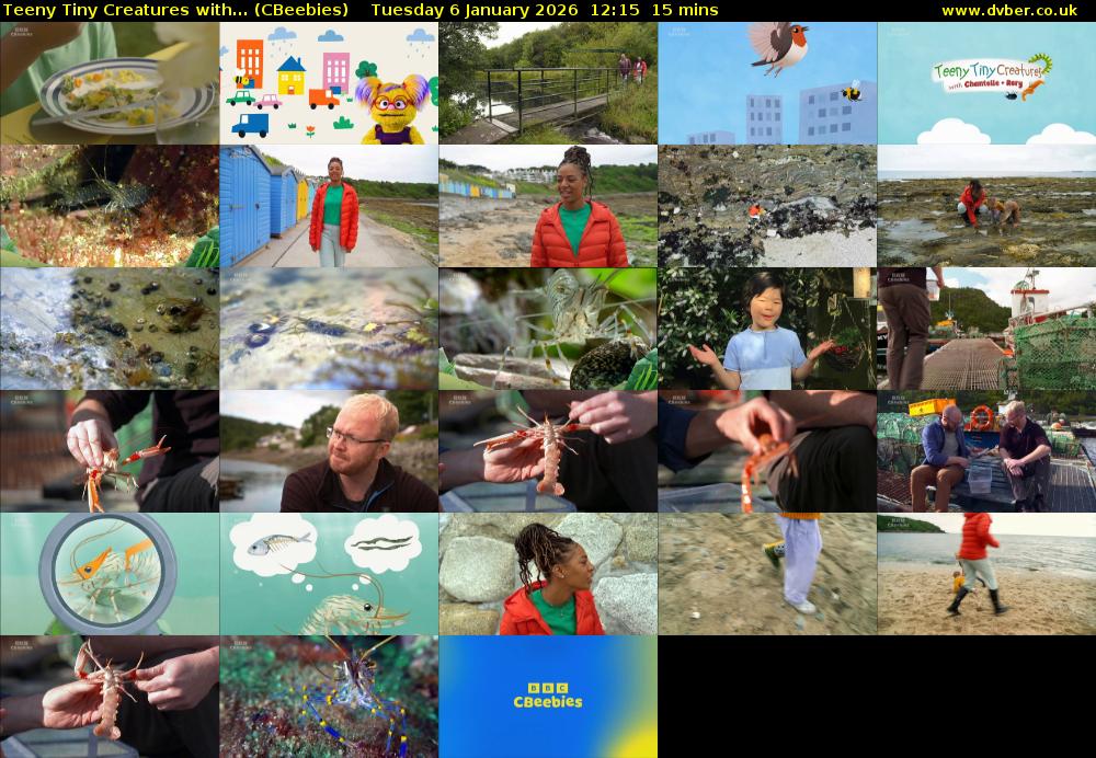 Teeny Tiny Creatures with... (CBeebies) Tuesday 6 January 2026 12:15 - 12:30