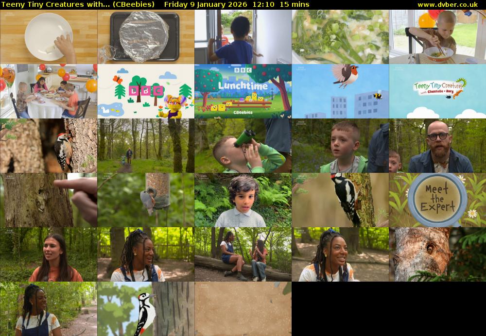 Teeny Tiny Creatures with... (CBeebies) Friday 9 January 2026 12:10 - 12:25