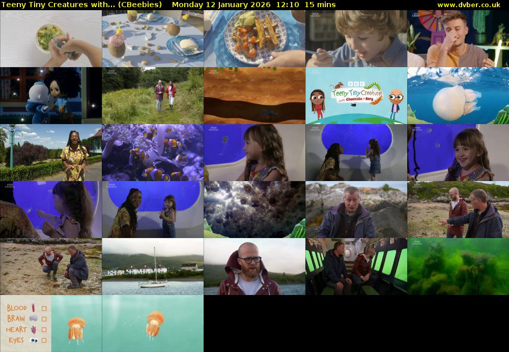 Teeny Tiny Creatures with... (CBeebies) Monday 12 January 2026 12:10 - 12:25