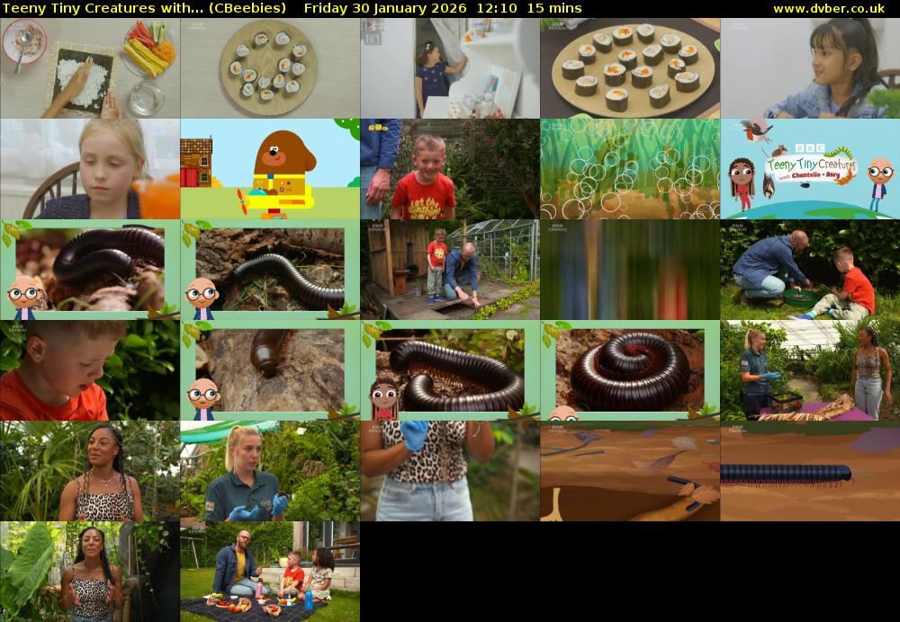 Teeny Tiny Creatures with... (CBeebies) Friday 30 January 2026 12:10 - 12:25