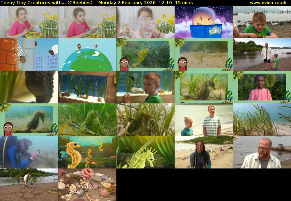 Teeny Tiny Creatures with... (CBeebies) Monday 2 February 2026 12:10 - 12:25