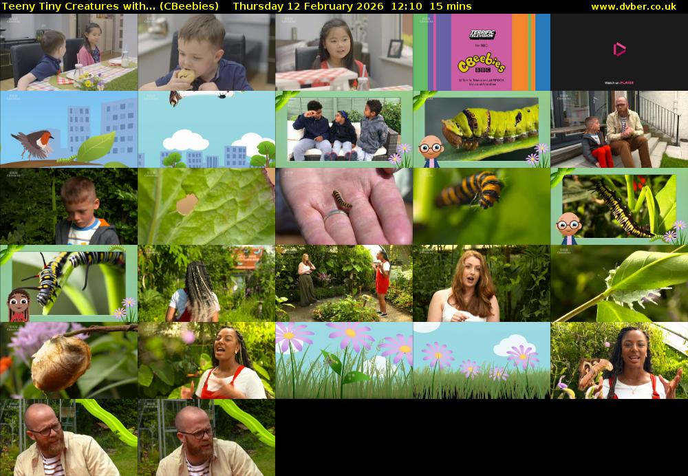 Teeny Tiny Creatures with... (CBeebies) Thursday 12 February 2026 12:10 - 12:25