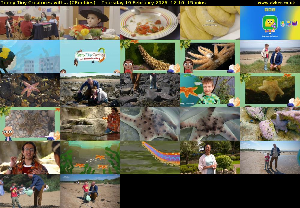 Teeny Tiny Creatures with... (CBeebies) Thursday 19 February 2026 12:10 - 12:25