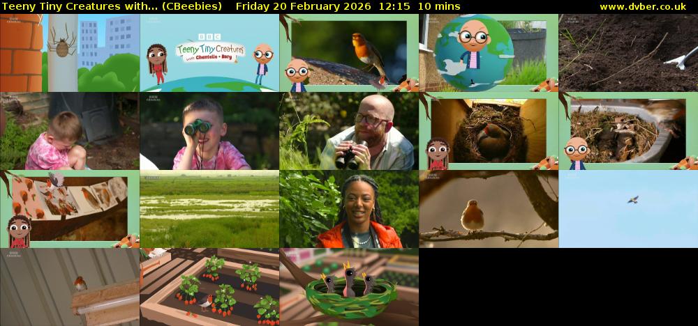 Teeny Tiny Creatures with... (CBeebies) Friday 20 February 2026 12:15 - 12:25