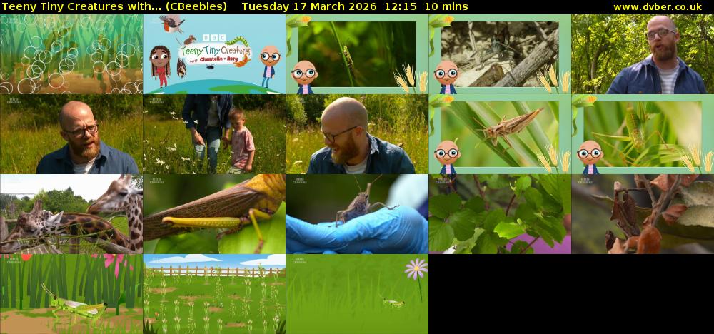Teeny Tiny Creatures with... (CBeebies) Tuesday 17 March 2026 12:15 - 12:25