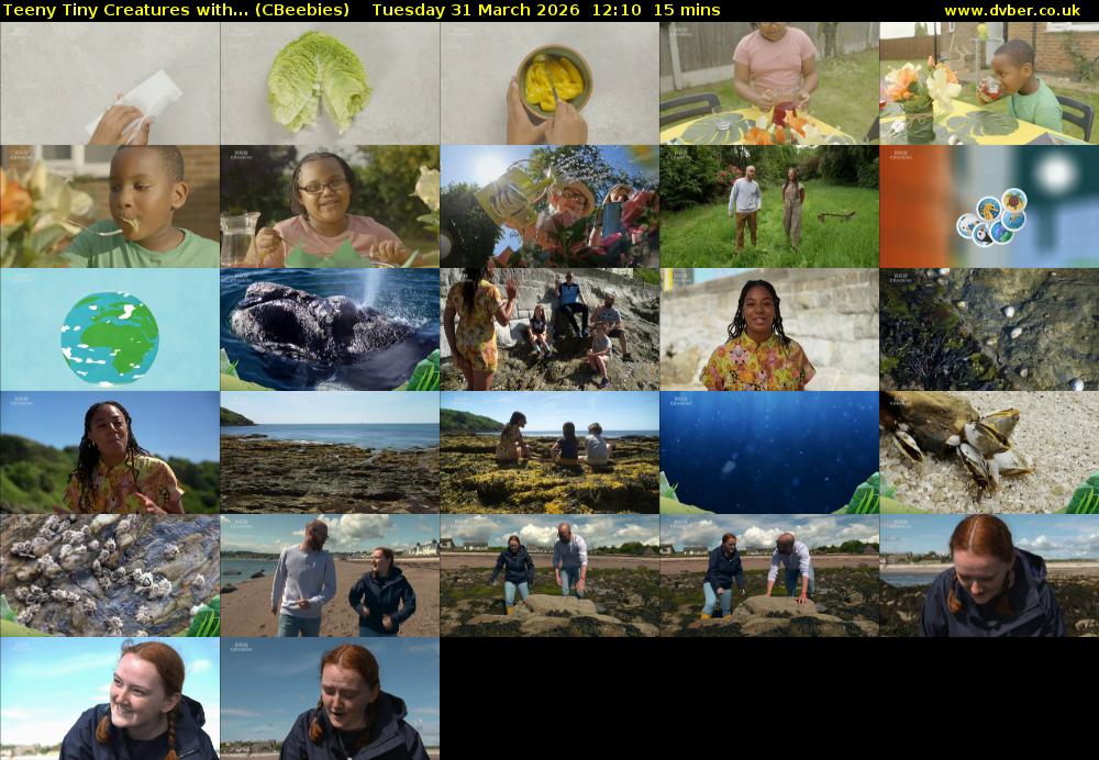 Teeny Tiny Creatures with... (CBeebies) Tuesday 31 March 2026 12:10 - 12:25