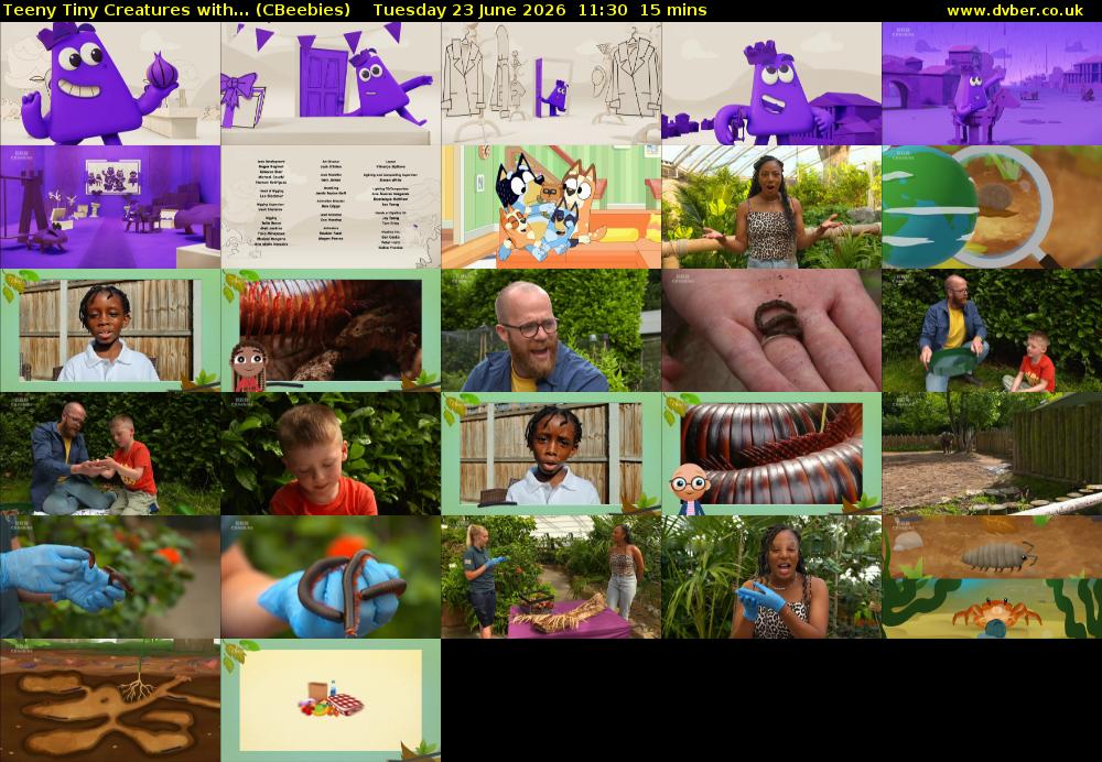 Teeny Tiny Creatures with... (CBeebies) Tuesday 23 June 2026 11:30 - 11:45