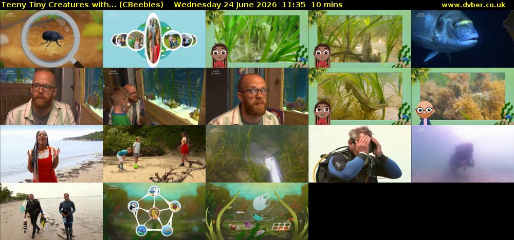 Teeny Tiny Creatures with... (CBeebies) Wednesday 24 June 2026 11:35 - 11:45