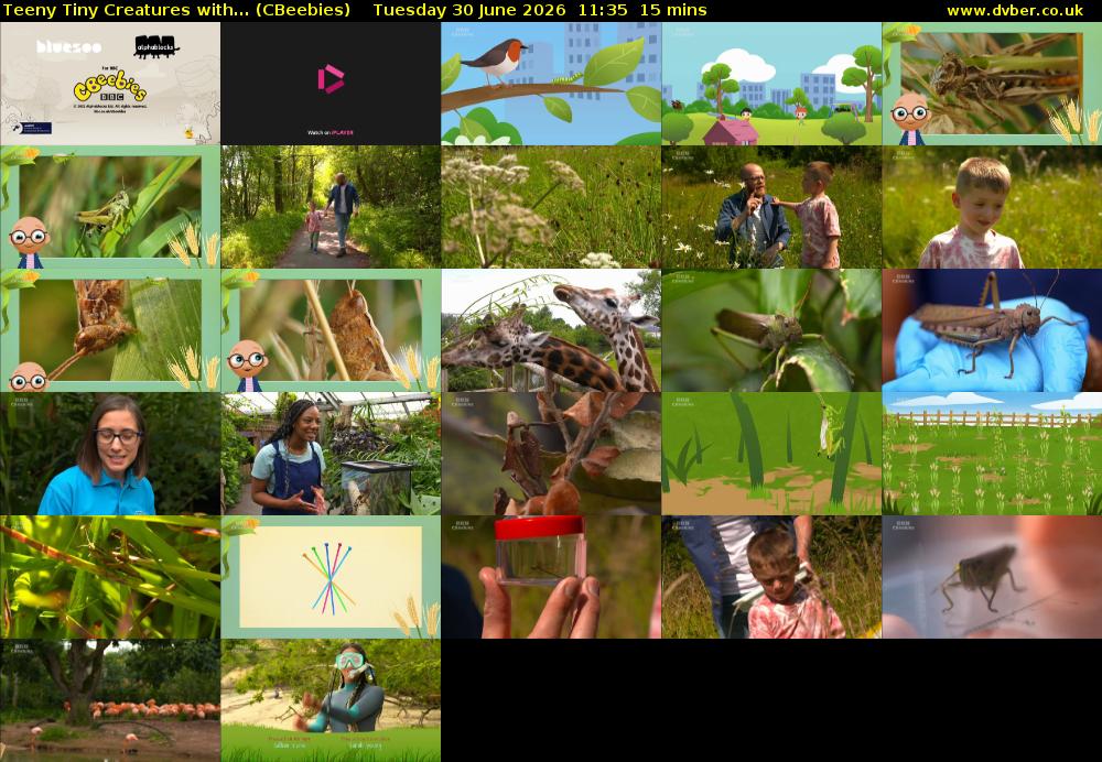 Teeny Tiny Creatures with... (CBeebies) Tuesday 30 June 2026 11:35 - 11:50