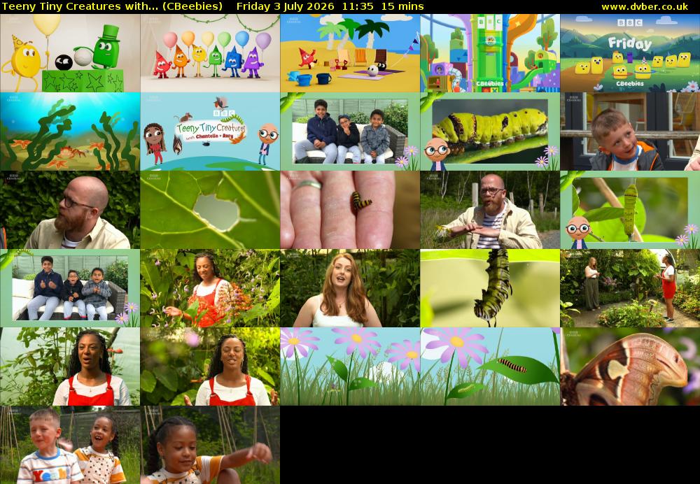 Teeny Tiny Creatures with... (CBeebies) Friday 3 July 2026 11:35 - 11:50