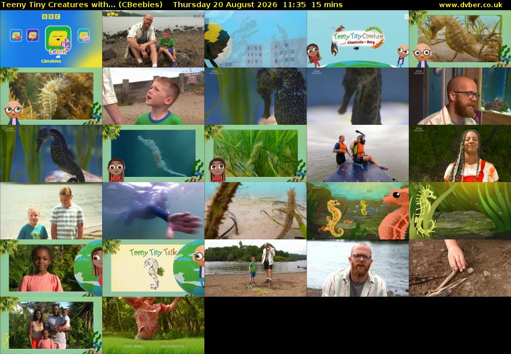 Teeny Tiny Creatures with... (CBeebies) Thursday 20 August 2026 11:35 - 11:50