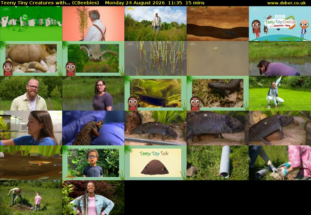 Teeny Tiny Creatures with... (CBeebies) Monday 24 August 2026 11:35 - 11:50