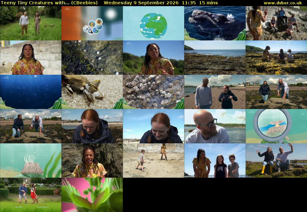Teeny Tiny Creatures with... (CBeebies) Wednesday 9 September 2026 11:35 - 11:50