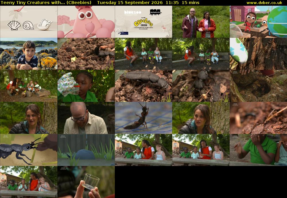 Teeny Tiny Creatures with... (CBeebies) Tuesday 15 September 2026 11:35 - 11:50