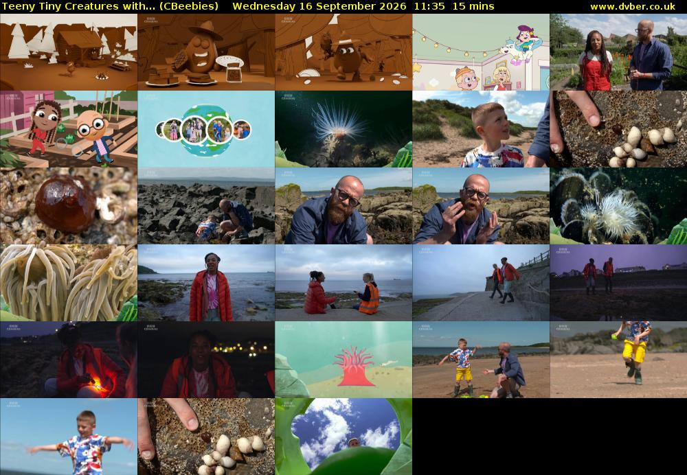 Teeny Tiny Creatures with... (CBeebies) Wednesday 16 September 2026 11:35 - 11:50