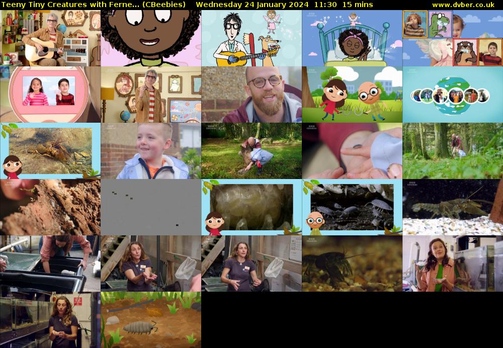 Teeny Tiny Creatures with Ferne... (CBeebies) Wednesday 24 January 2024 11:30 - 11:45