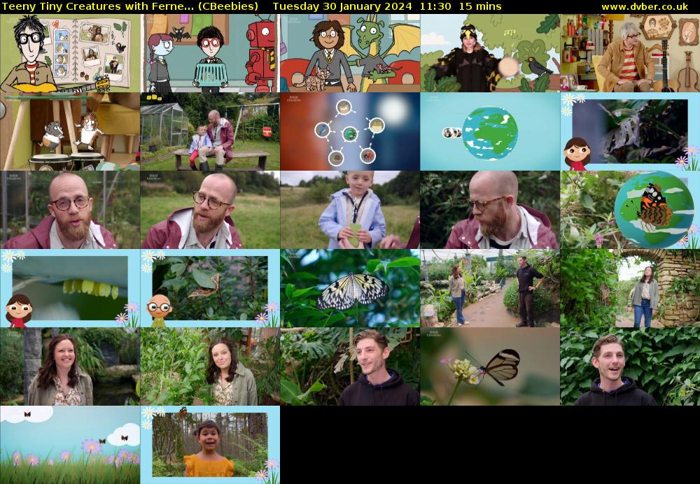 Teeny Tiny Creatures with Ferne... (CBeebies) Tuesday 30 January 2024 11:30 - 11:45