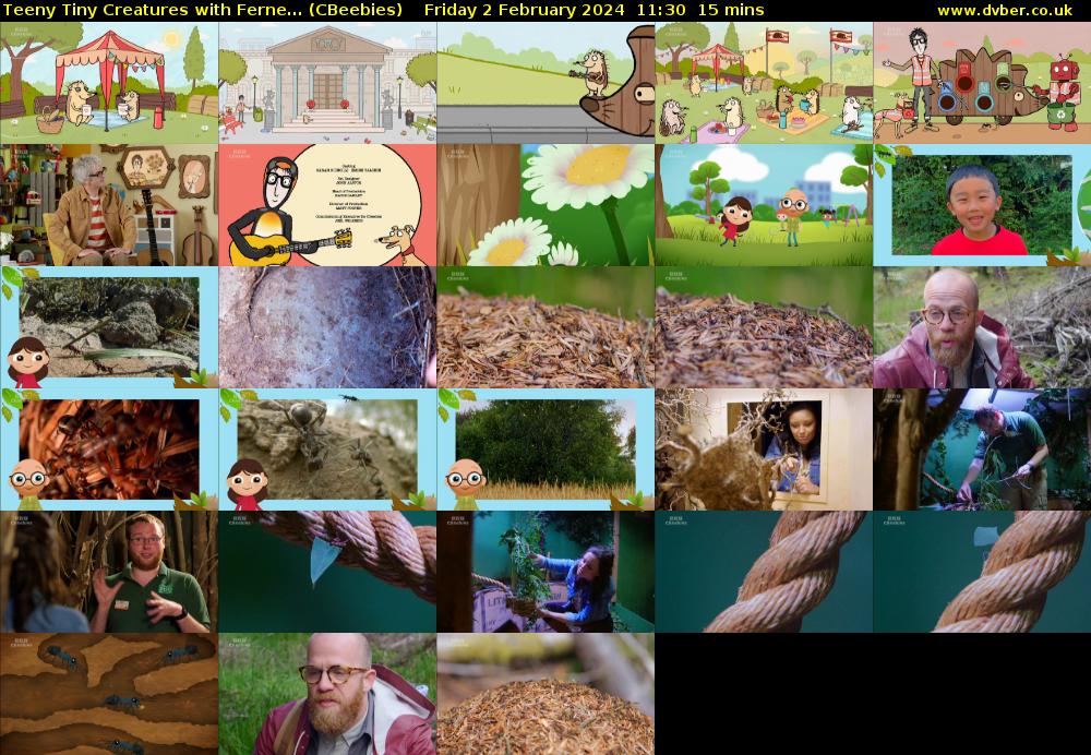 Teeny Tiny Creatures with Ferne... (CBeebies) Friday 2 February 2024 11:30 - 11:45