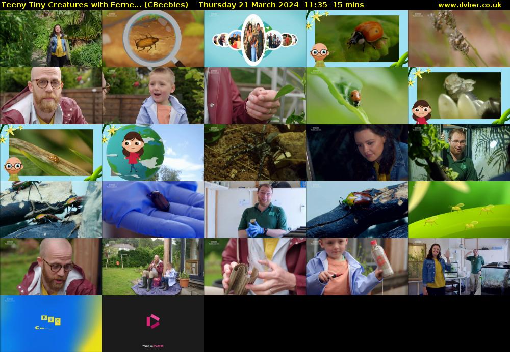 Teeny Tiny Creatures with Ferne... (CBeebies) Thursday 21 March 2024 11:35 - 11:50