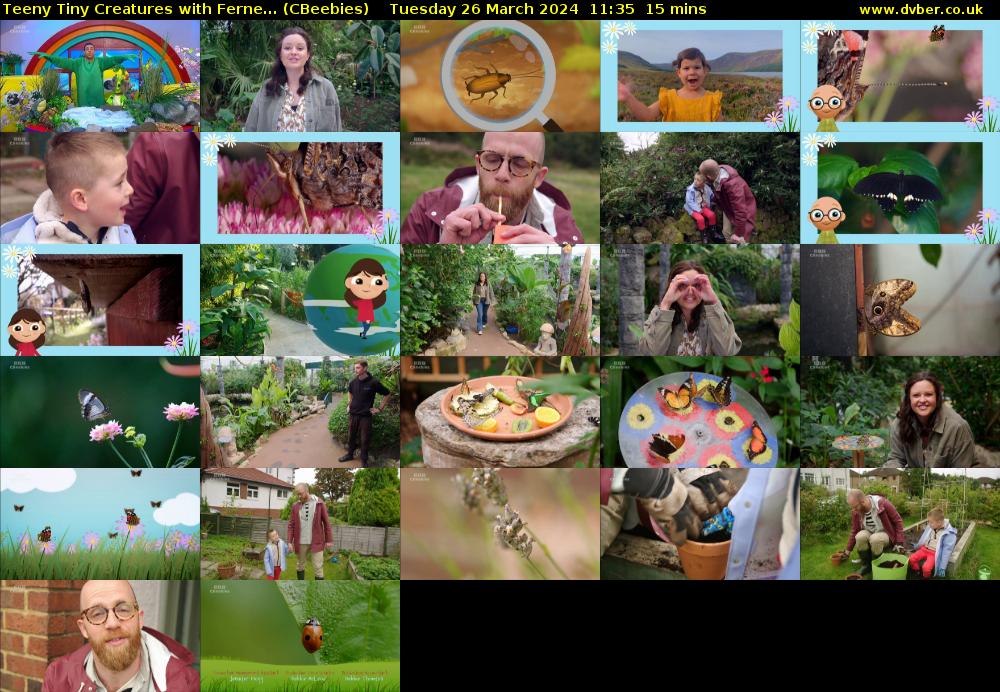 Teeny Tiny Creatures with Ferne... (CBeebies) Tuesday 26 March 2024 11:35 - 11:50