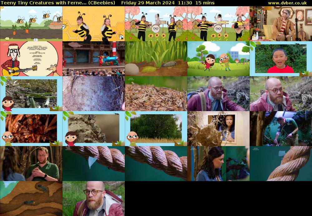 Teeny Tiny Creatures with Ferne... (CBeebies) Friday 29 March 2024 11:30 - 11:45