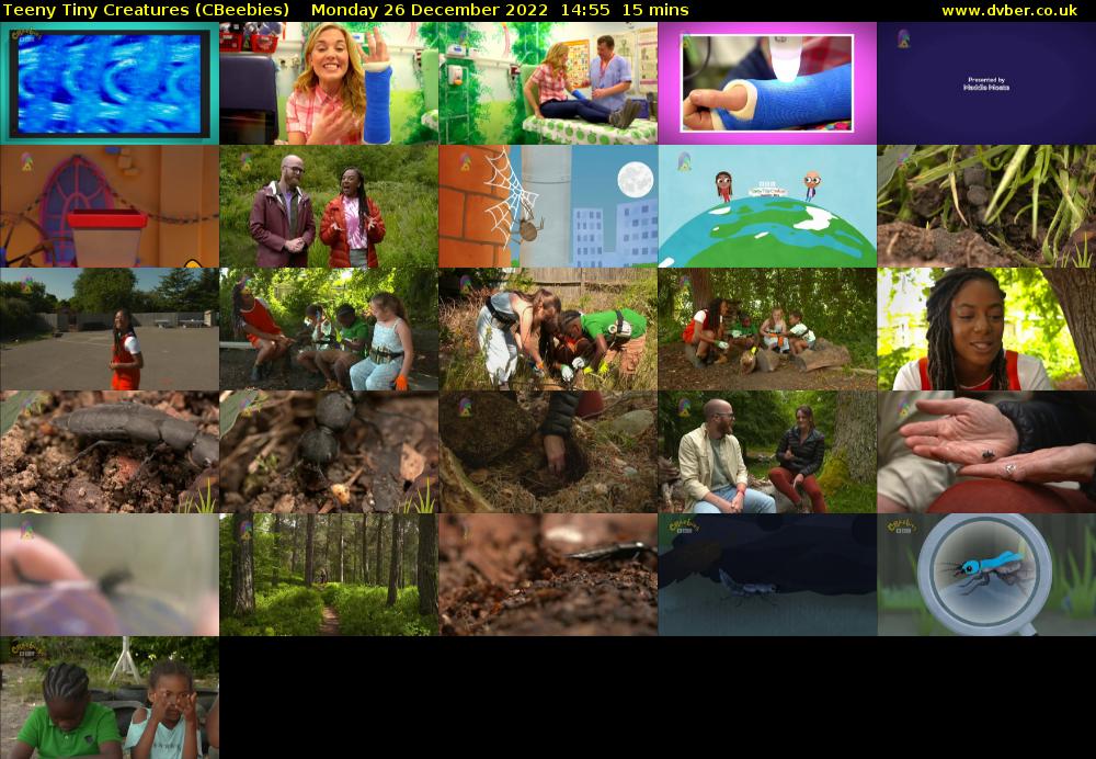 Teeny Tiny Creatures (CBeebies) Monday 26 December 2022 14:55 - 15:10