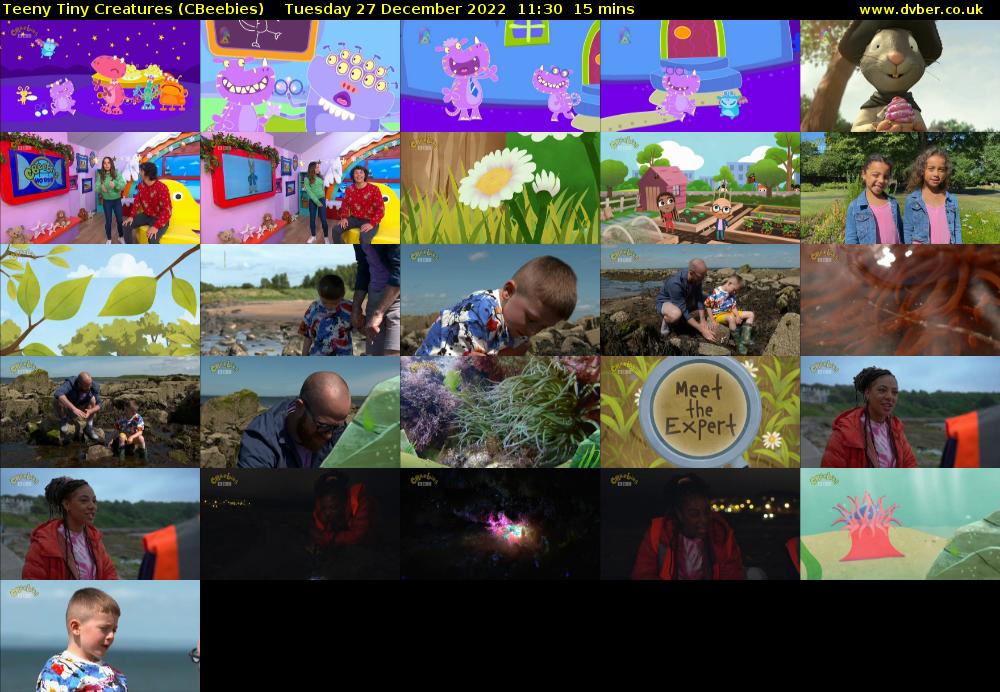 Teeny Tiny Creatures (CBeebies) Tuesday 27 December 2022 11:30 - 11:45