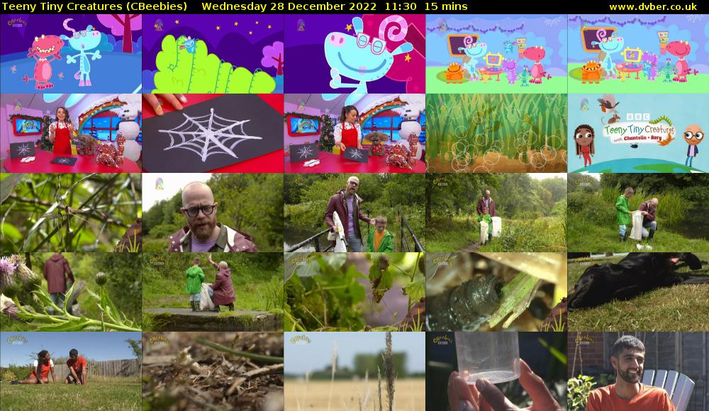 Teeny Tiny Creatures (CBeebies) Wednesday 28 December 2022 11:30 - 11:45