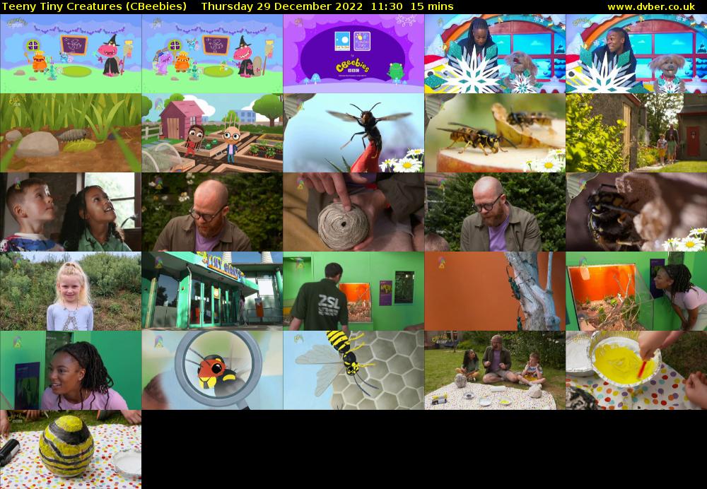 Teeny Tiny Creatures (CBeebies) Thursday 29 December 2022 11:30 - 11:45