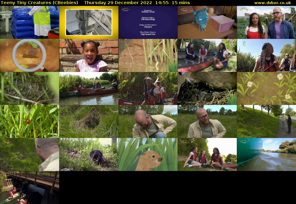 Teeny Tiny Creatures (CBeebies) Thursday 29 December 2022 14:55 - 15:10
