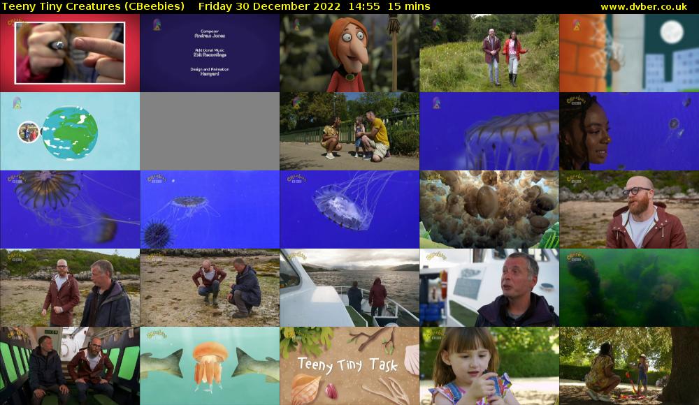 Teeny Tiny Creatures (CBeebies) Friday 30 December 2022 14:55 - 15:10