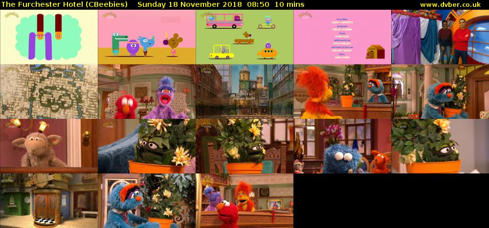 The Furchester Hotel (CBeebies) Sunday 18 November 2018 08:50 - 09:00