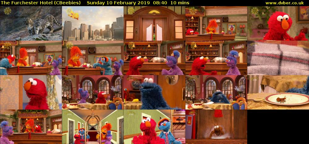 The Furchester Hotel (CBeebies) Sunday 10 February 2019 08:40 - 08:50