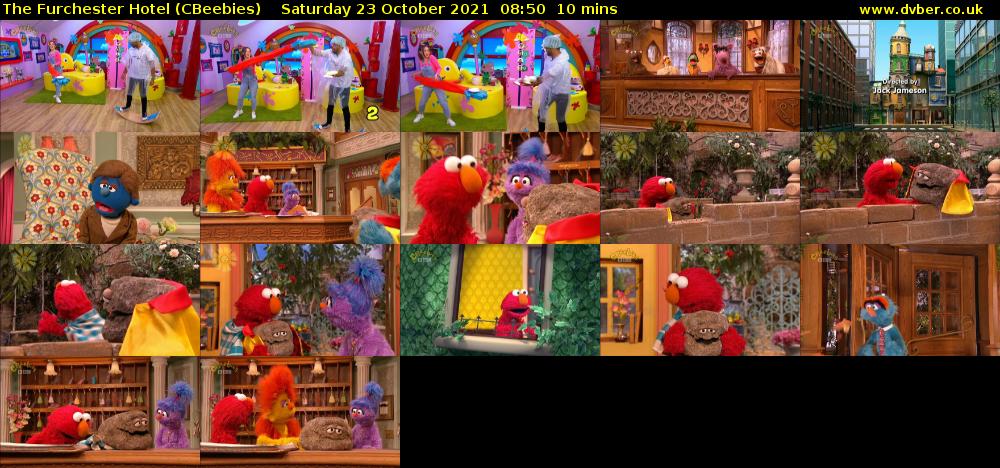 The Furchester Hotel (CBeebies) Saturday 23 October 2021 08:50 - 09:00