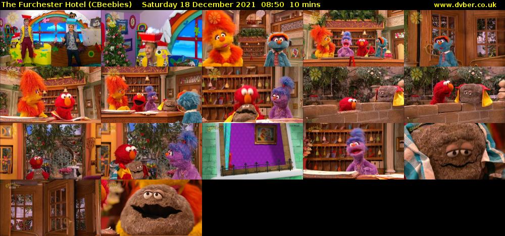 The Furchester Hotel (CBeebies) Saturday 18 December 2021 08:50 - 09:00