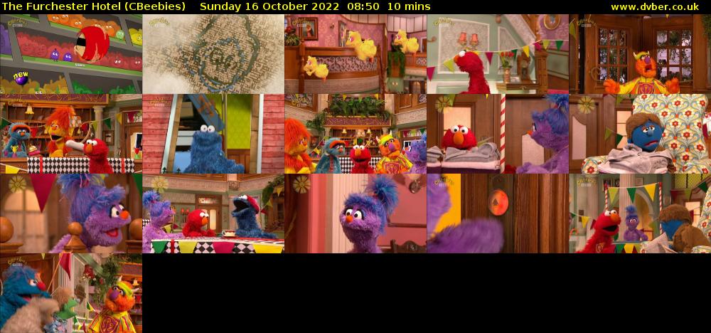 The Furchester Hotel (CBeebies) Sunday 16 October 2022 08:50 - 09:00