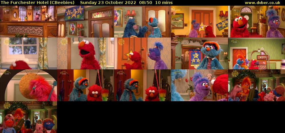 The Furchester Hotel (CBeebies) Sunday 23 October 2022 08:50 - 09:00