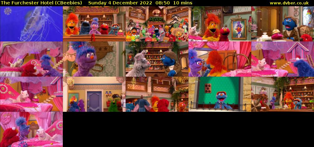 The Furchester Hotel (CBeebies) Sunday 4 December 2022 08:50 - 09:00