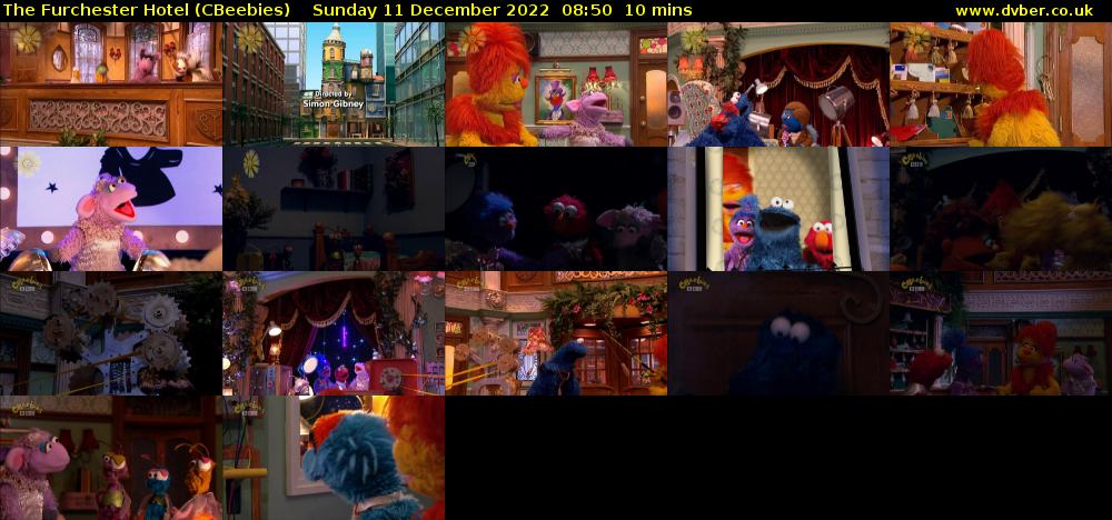 The Furchester Hotel (CBeebies) Sunday 11 December 2022 08:50 - 09:00