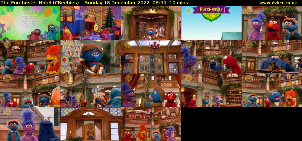 The Furchester Hotel (CBeebies) Sunday 18 December 2022 08:50 - 09:00