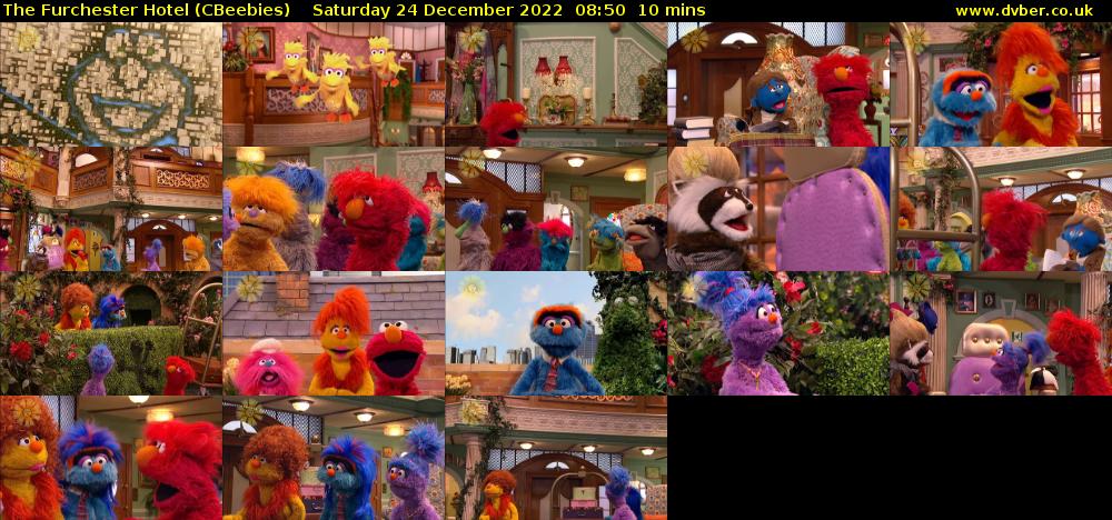 The Furchester Hotel (CBeebies) Saturday 24 December 2022 08:50 - 09:00