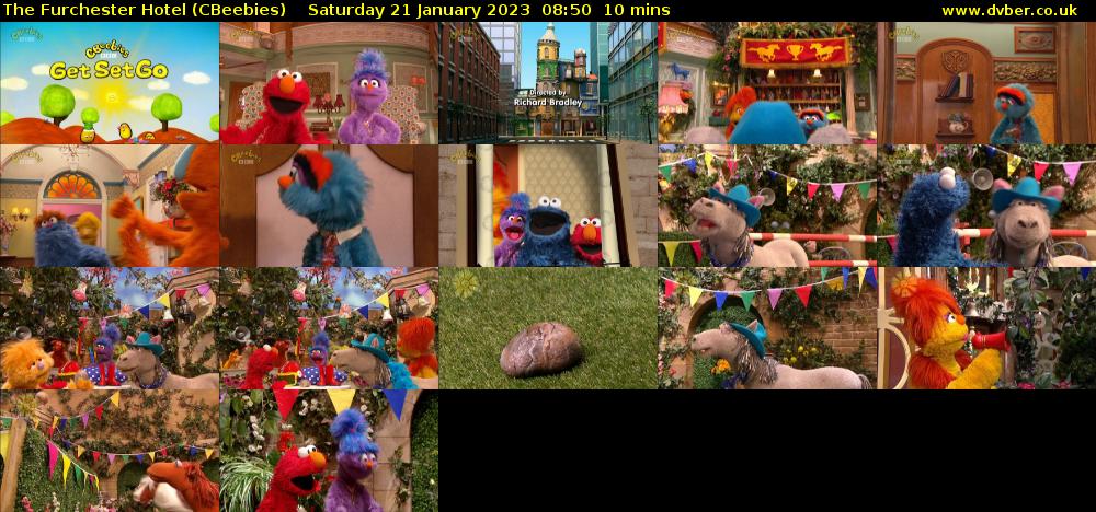 The Furchester Hotel (CBeebies) Saturday 21 January 2023 08:50 - 09:00