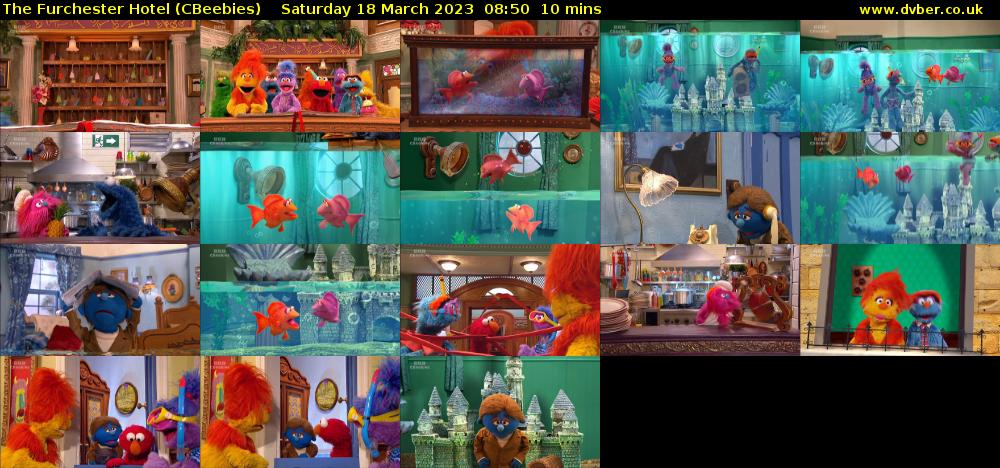 The Furchester Hotel (CBeebies) Saturday 18 March 2023 08:50 - 09:00