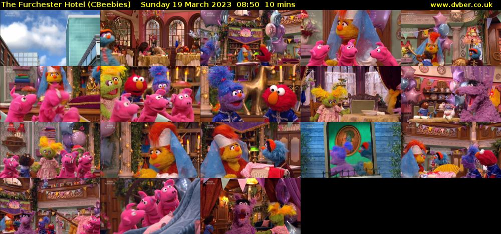 The Furchester Hotel (CBeebies) Sunday 19 March 2023 08:50 - 09:00