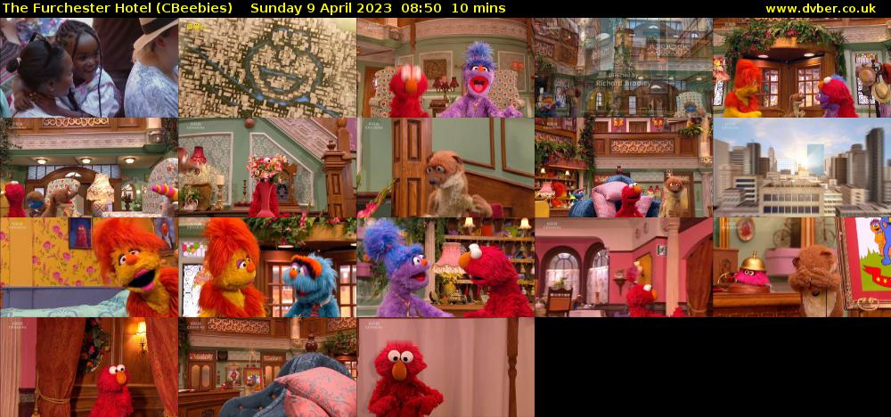 The Furchester Hotel (CBeebies) Sunday 9 April 2023 08:50 - 09:00