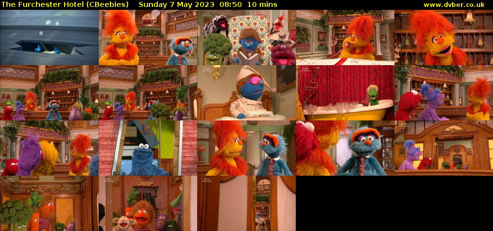 The Furchester Hotel (CBeebies) Sunday 7 May 2023 08:50 - 09:00